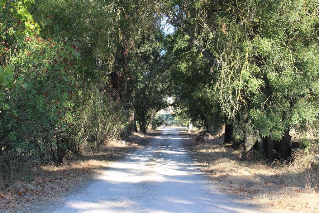 تومار Quinta Do Valle المظهر الخارجي الصورة