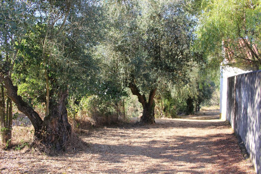 تومار Quinta Do Valle المظهر الخارجي الصورة