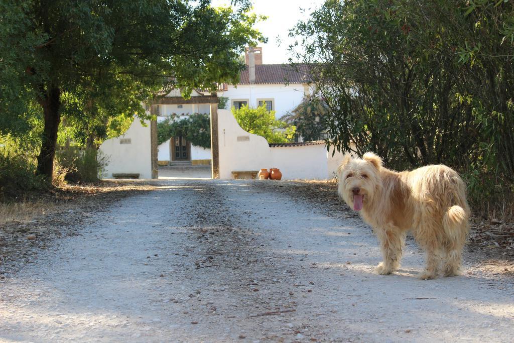 تومار Quinta Do Valle المظهر الخارجي الصورة